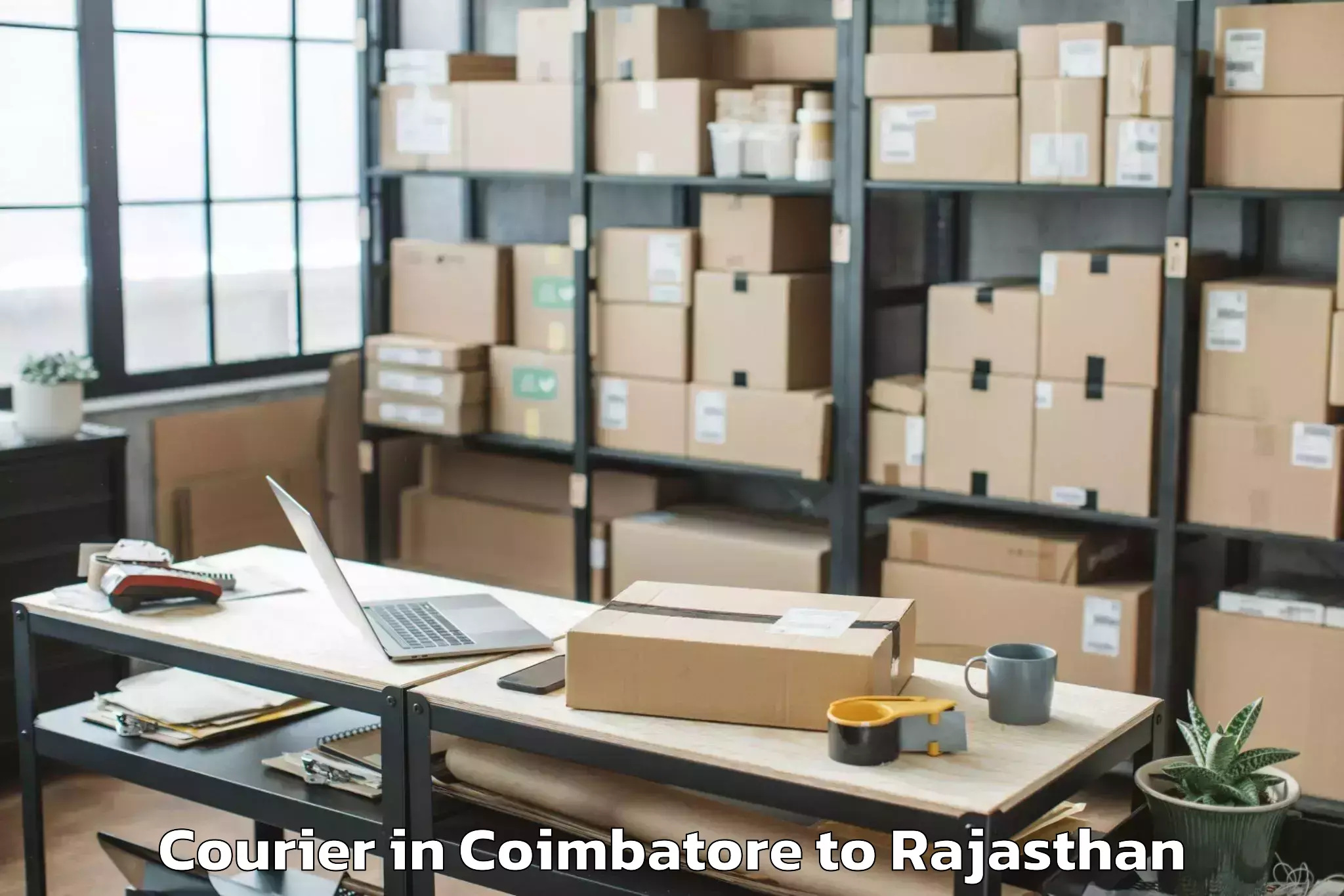 Top Coimbatore to Todabhim Courier Available